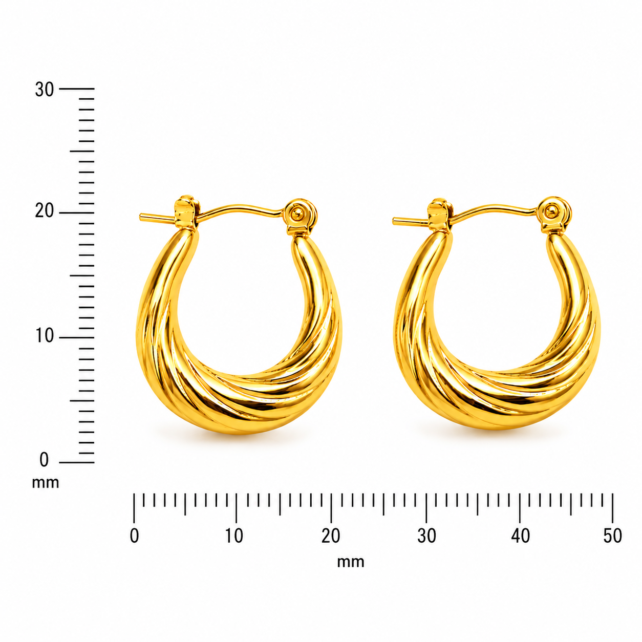 Twisted Hoop Earrings